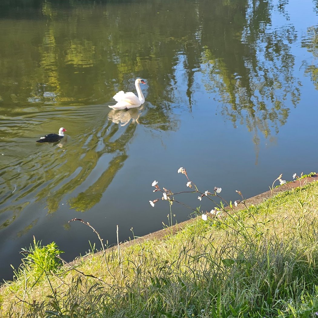 Les bords de l’oise 2